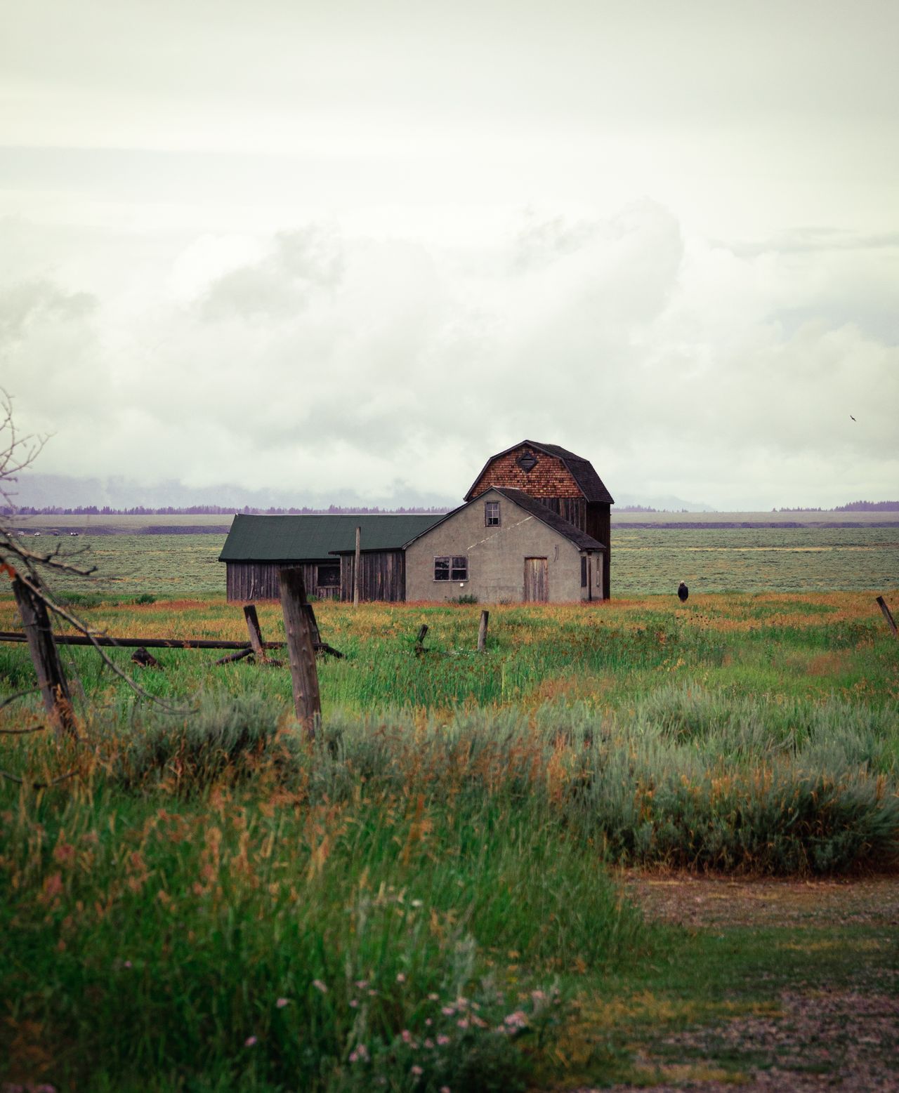 Old barn on a green rural landscape